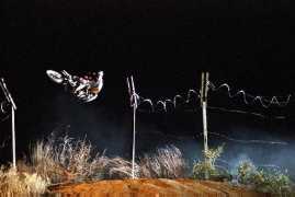 XXX. All Rights Reserved.